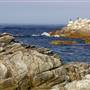 Asilomar State Beach and Conference Grounds