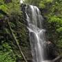 Big Basin Redwoods State Park (SP)