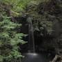 Big Basin Redwoods State Park (SP)