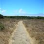 Andrew Molera State Park (SP)