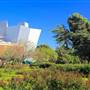 Exposition Park Rose Garden