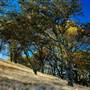 Mount Diablo State Park (SP)