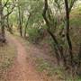Mount Diablo State Park (SP)