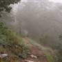 Fremont Peak State Park (SP)