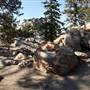 Mount San Jacinto State Park (SP) & Palm Springs Aerial Tramway