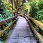 Redwood National & State Parks