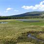Tuolumne Meadows
