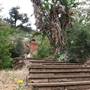 Solstice Canyon - National Park Service (NPS)