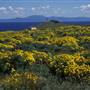 Channel Islands National Park