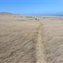 Channel Islands National Park