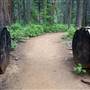 Calaveras Big Trees State Park (SP)