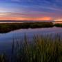 Bolsa Chica Ecological Reserve - California Department of Fish & Wildlife (CDFW)