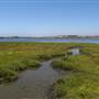 Bolsa Chica Ecological Reserve - California Department of Fish & Wildlife (CDFW)