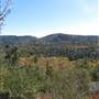 Palomar Mountain State Park (SP)