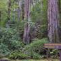 Mailliard Redwoods State Natural Reserve (SNR)