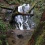 Jedediah Smith Redwoods State Park (SP) within the Redwood National and State Parks