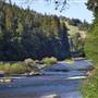 John B. Dewitt Redwoods State National Reserve (SNR)
