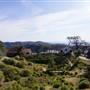 Henry W. Coe State Park (SP)