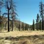 Los Padres National Forest - Monterey Ranger District
