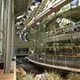 California Academy of Sciences