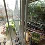 California Academy of Sciences