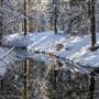 Donner Memorial State Park (SP)  / Donner Lake