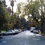 Chester Place / Doheny Mansion / Mt. Saint Mary's Doheney Estate
