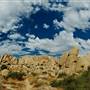 Joshua Tree National Park - NPS