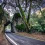 Yosemite National Park