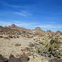 Picacho State Recreation Area (SRA)