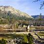 Marshall Gold Discovery State Historic Park (SHP)