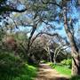 Topanga State Park (SP)