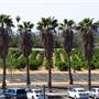 California Citrus State Historic Park (SHP)