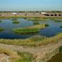 Sacramento-San Joaquin Delta