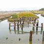 Ballona Wetlands Ecological Reserve - California Department of Fish & Wildlife (CDFW)