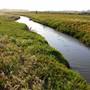 Ballona Wetlands Ecological Reserve - California Department of Fish & Wildlife (CDFW)
