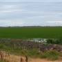 Yolo Bypass Wildlife Area - California Department of Fish & Wildlife (CDFW)