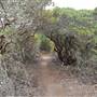 Burton Mesa Ecological Reserve - California Department of Fish & Wildlife (CDFW)