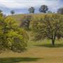 Cache Creek Wilderness