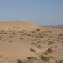 Imperial Sand Dunes & OHV Recreation Area - BLM