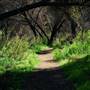 Blue Sky Ecological Preserve - City of Poway & California Department of Fish & Wildlife (CDFW)