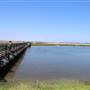 Bolsa Chica Ecological Reserve - California Department of Fish & Wildlife (CDFW)
