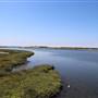 Bolsa Chica Ecological Reserve - California Department of Fish & Wildlife (CDFW)