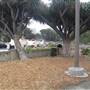 MacArthur Park and Tunnels