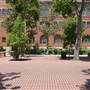 University of Southern California - USC