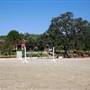 El Campeon Farms - Windy Hill Ranch
