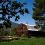 El Campeon Farms - Windy Hill Ranch