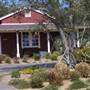 Windy Hill Ranch - El Campeon Farms
