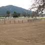 Windy Hill Ranch - El Campeon Farms