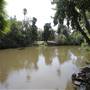 Los Angeles County Arboretum